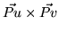 $\vec{Pu} \times \vec{Pv}$